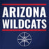 University of Arizona Wildcats Basketball Mark Surface Book 2 13.5in Skin